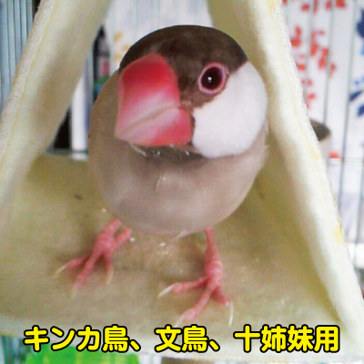 楽天市場】もふもふバードテント（秋冬用）Sサイズ キンカ鳥 文鳥