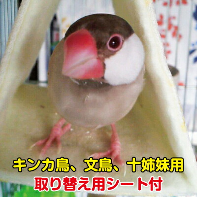 楽天市場】もふもふバードテント（秋冬用）Sサイズ キンカ鳥 文鳥