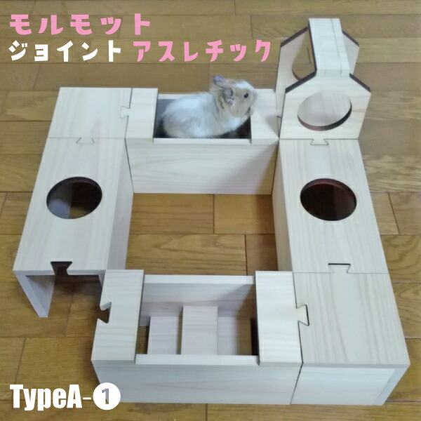 実験材料〈合わせ目〉アスレチック TypeA-1実験材料 アスレチック お部屋んぽ 内耳 命のせんたく御先棒 実験材料上がり段 ほっつき歩く 水平坑 遊び道具 遊具