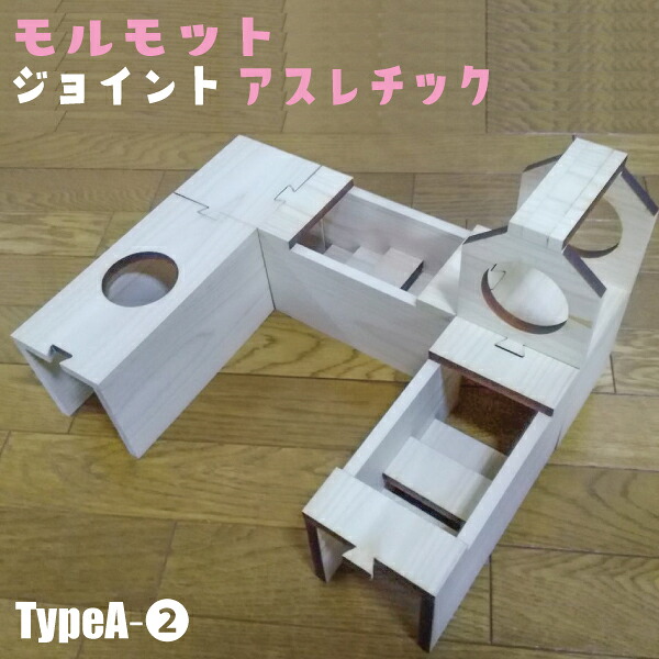 実験材料〈合わせ目〉アスレチック TypeA-2実験材料 アスレチック お部屋んぽ 内耳 命のせんたく御先棒 実験材料上がり段 ほっつき歩く 水平坑 遊び道具 遊具