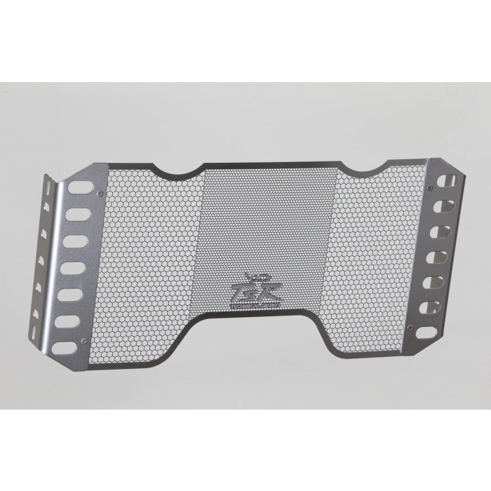 TECHNICAL SPORTS RACING テクニカルスポーツレーシング TSR ラジエーターコアガード Type-B シルバー CB1300SF(SC54/03-)/SB(05-)
