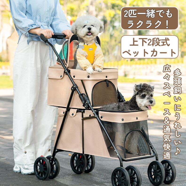6月スーパセール 引き換え証会場
