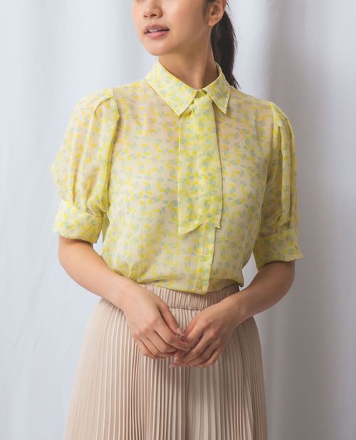 楽天市場】＼P5倍＋最大2000円OFFクーポン／【50%OFF】《 ダブル