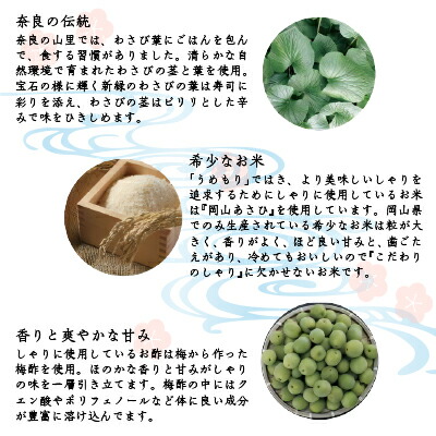 お中元ギフト 御中元 ギフト 手鞠寿司 おしゃれ 季節の手鞠わさび葉寿し春 贈答 うめもり 個 わさび葉寿司 送料無料 お中元 お取り寄せ