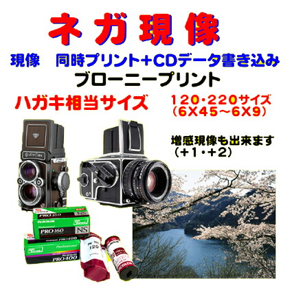 楽天市場】トイカメラ で撮った ブローニーフィルム ネガ現像