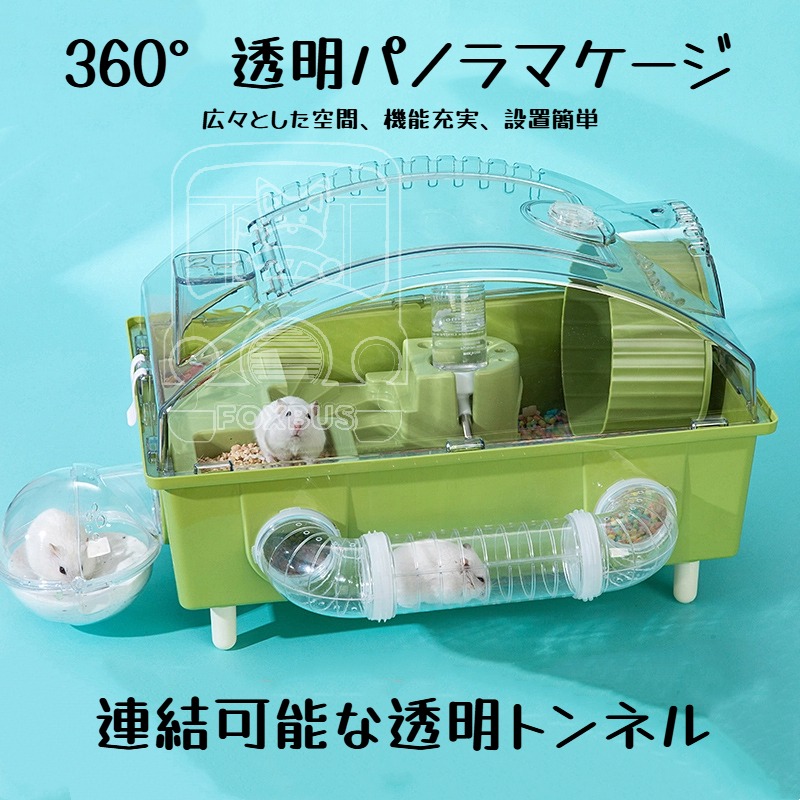 大人気 最短翌日お届け  【MOZHXITWJXW】 限定デザイン
