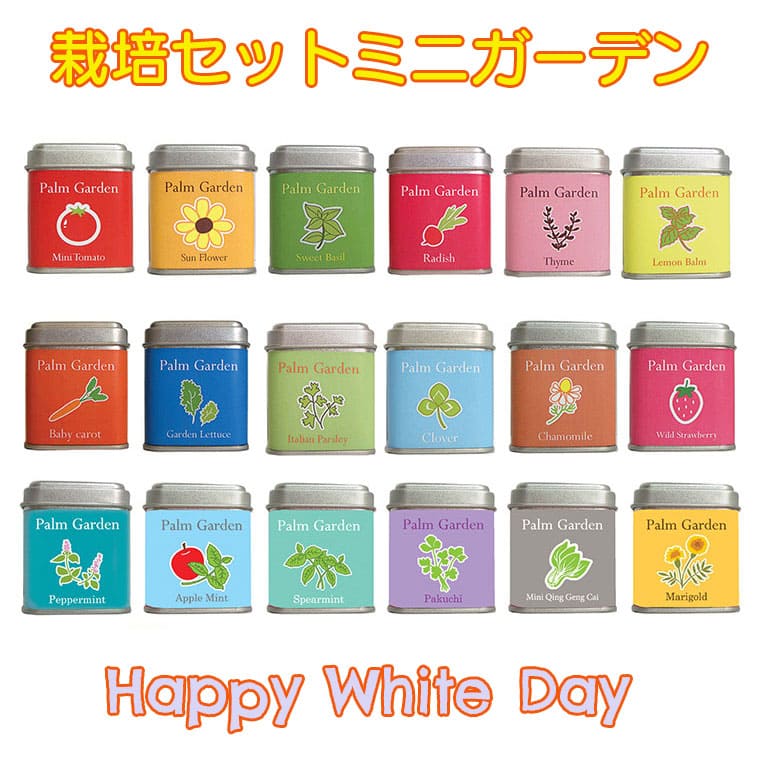 楽天市場 栽培セット 栽培キット 缶入り ミニ ミニガーデン 室内 苗 家庭菜園 菜園 ハーブ 野菜 フルーツ ワイルドストロベリー いちご バジル ミニトマト かわいい おしゃれ おすすめ 初心者 卓上 ガーデニング プレゼント プチギフト 一人暮らし ホワイトデー 母の日
