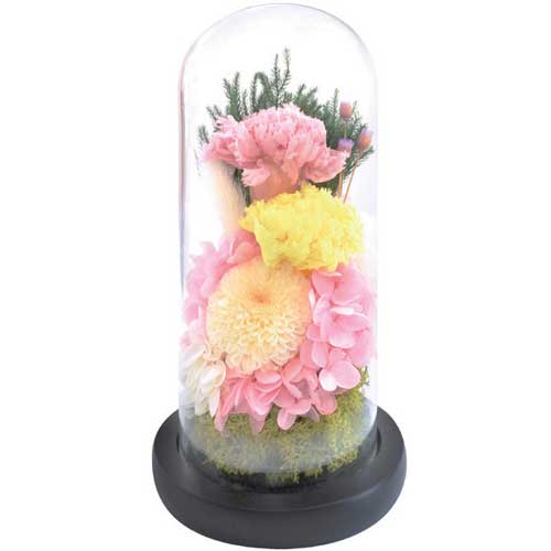 ドーム型プリザーブド仏花 (日本製 お供えお彼岸 お供え 花 お彼岸 花 お彼岸 花 法事プリザーブドフラワー 仏花 ガラスドーム ガラスケース)