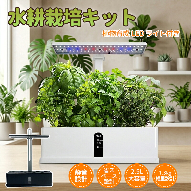 百貨店大売り出し制限事項