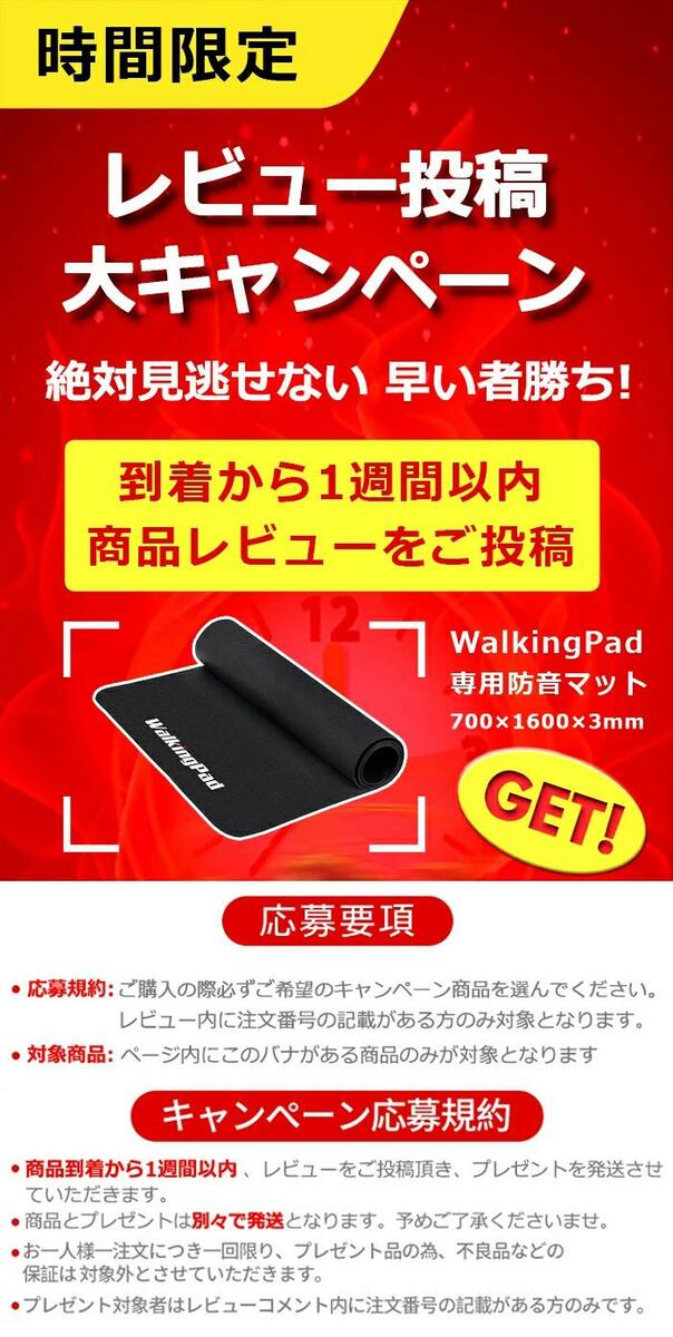 あす楽！KingSmith WalkingPad X21 ルームランナー ウォーキングマシン