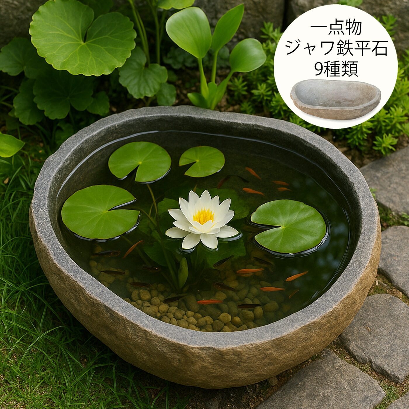 雑草、もう抜かない。
