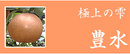 楽天市場】 食せばわかる甘さの違う梨 「新高」 : 梨づくり本舗 みやび