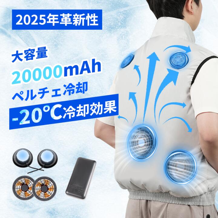 楽天市場】＼☆5000円OFFクーポン☆／2025 新発売 冷却ベスト