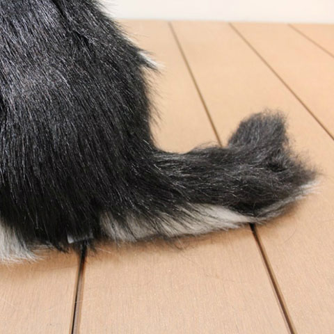 犬 ぬいぐるみ パピヨン いぬ イヌ リアル 本物 そっくり かわいい 送料無料 Butlerchimneys Com
