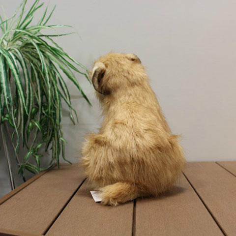 犬 ぬいぐるみ ノーフォークテリア いぬ イヌ リアル 本物 そっくり かわいい 送料無料 Sermus Es