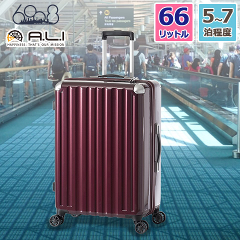 ハードキャリーケース スーツケース 手荷物預け無料サイズ 66L 5～7泊程度の旅行に最適 カーボンワイン ファスナータイプ ダブルホイールキャスター ALI-6008-24 アジア・ラゲージ