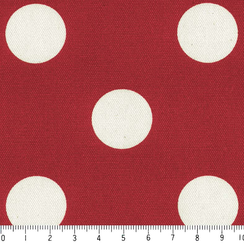 オータムセール！希少 サヌチフタマタ褐色タイプ♂６８ミリ♀４２ミリ（Ｆ３）ＰＡ　