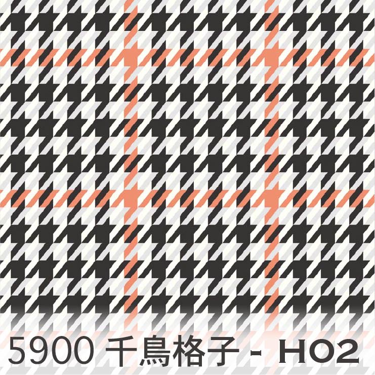 5900-h02-01.jpg