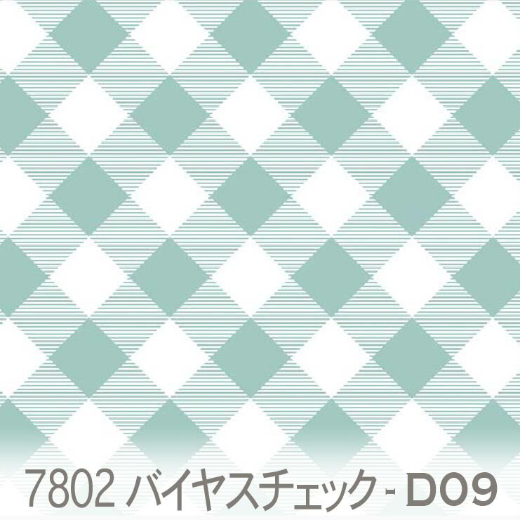 7802-d09-01.jpg