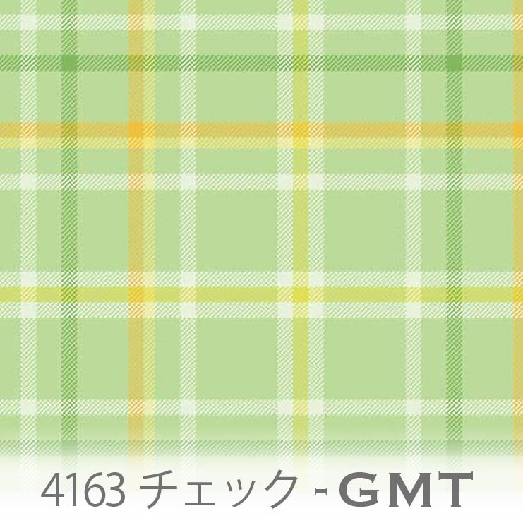 4163-gmt-01a.jpg