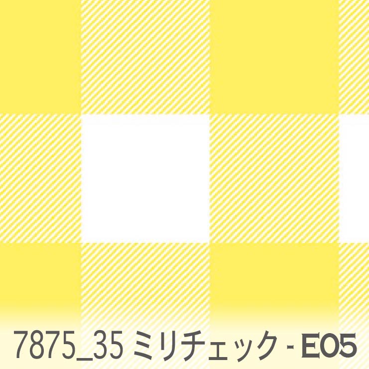 7875-e05-01.jpg