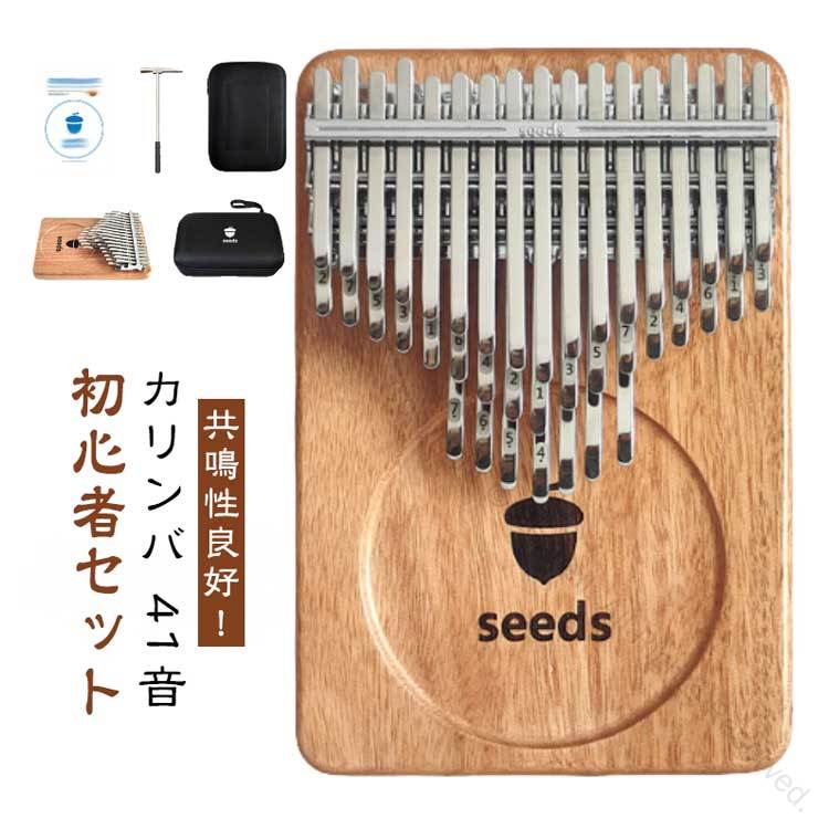 ケース付き 41音 親指ピアノ 初心者セット 楽器 教本 入門書 チューニング済み 指サック サムピアノ おしゃれ 楽譜 チューナー付き 子供