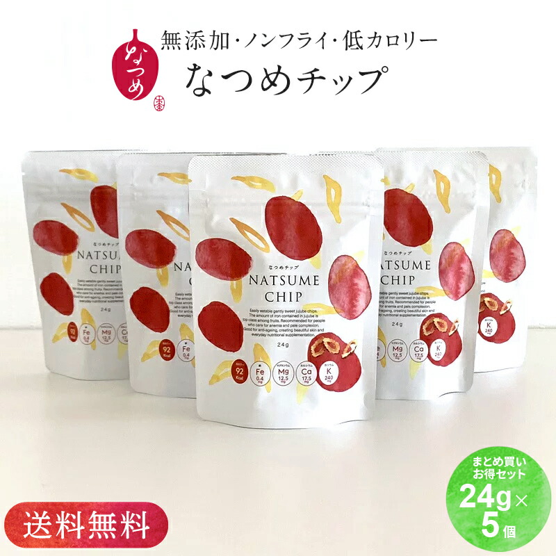 送料込み★なつめチップ24g×5個セット(ギフト お徳用 なつめチップス 棗 ドライフルーツ 乾燥なつめ 無添加 無着色 砂糖不使用 子供 お菓子 間食 ダイエット中 低カロリー 薬膳 プレゼント 出産祝い 韓国 送料無料 5,000円以内)