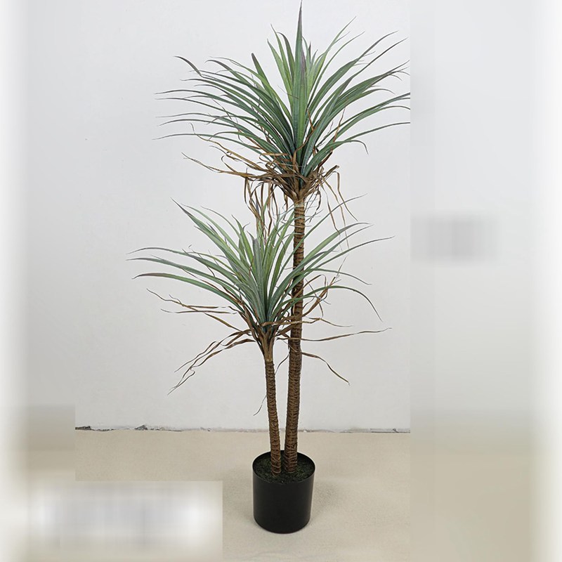 ドラセナ 屋内 エントランス状態 部屋の入り口 老人ホーム 大型 造花 フェイクグリーン 人工緑植木 御祭り 開店祝賀会 母の日 枯れない 水やり不必要 取り計らういらず 持ちこたえる 本当の グリーナリーライフ 差し上げ物にも A