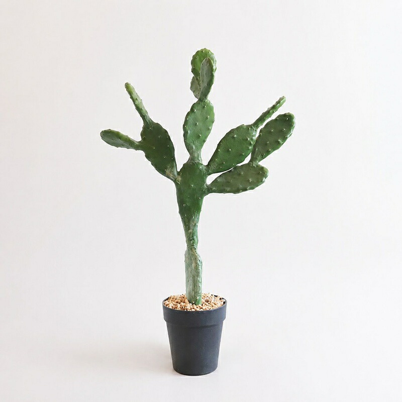 フェイクグリーン サボテン 観葉植物 大型 造花 リアル 人工観葉植物 多肉 鉢植え 室内 インテリア おしゃれ 装飾 飾り 70cm｜NatsuShop 店