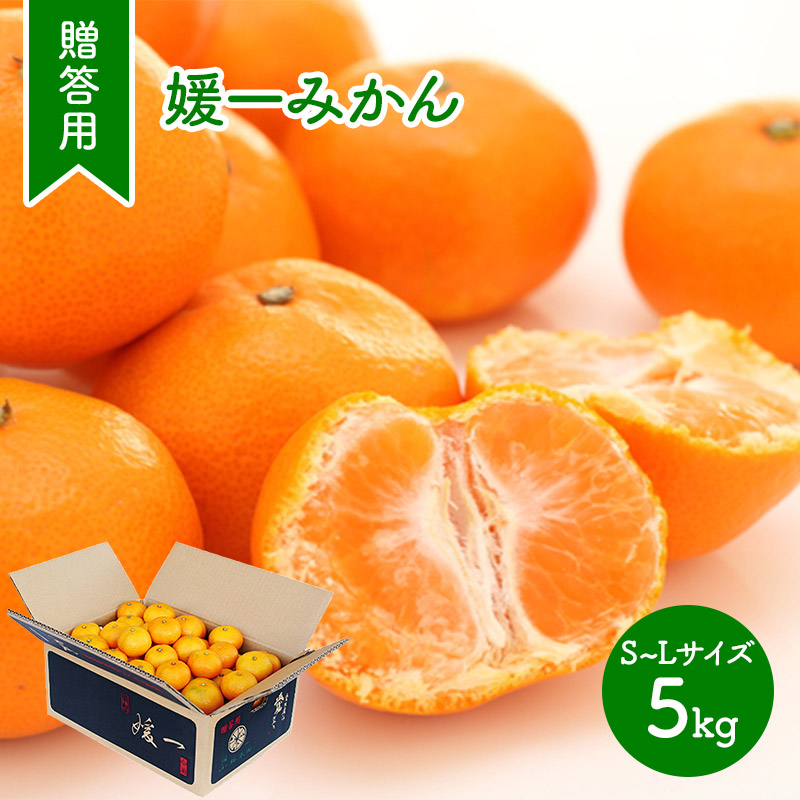 数量限定　オレンジ&フローラル　12箱 楽天市場】【2025/12/1〜12/15お届け】 お歳暮 2025 静岡県産 三ケ日