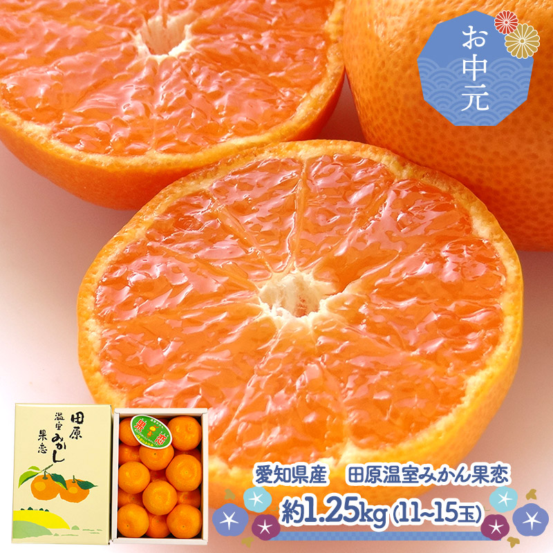 楽天市場】お中元 2025 【7/1〜8/10お届け】蒲郡温室みかん 12玉
