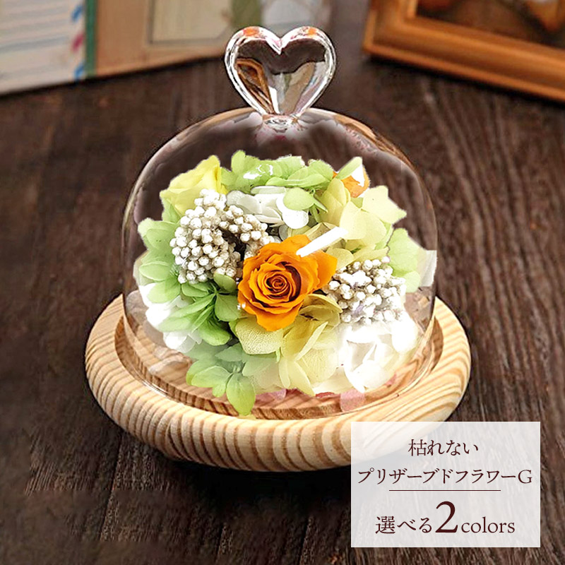 楽天市場】エントリーでP13倍! SOUP ガラスドームアレンジメント 枯れ