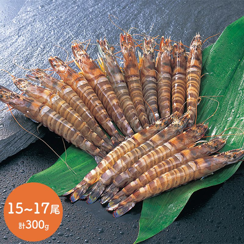 楽天市場 車海老 15 17尾 計300g 活〆 冷凍 海老 エビ えび 天草 鮮魚 惣菜 詰合せ プレゼント C1951 お取り寄せ 特産 手土産 おすすめ 贈答品 内祝い お礼 お取り寄せグルメ ギフト 送料無料 父の日 21 父の日ギフト 実用的 ぐるめ 早割 ギフト百花