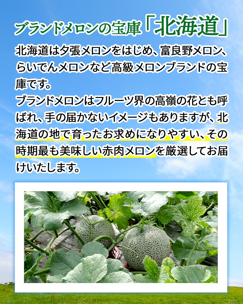 楽天市場 7 10 8 10お届け 北海道メロン 旬の桃 赤肉メロン 1玉 約1 3kg 桃約900g 3玉 4玉 Sn0000 0197 めろん もも プレゼント フルーツ 青果 くだもの 果物 お取り寄せ お祝い 詰め合わせ おすすめ 記念日 内祝い お礼 ギフト 送料無料 お歳暮 21 お歳暮