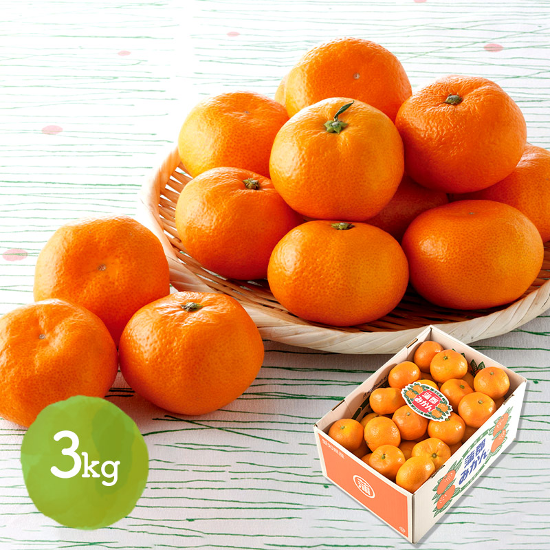 楽天市場】【2025/12/1〜12/15お届け】 早割 お歳暮 2025 静岡県産