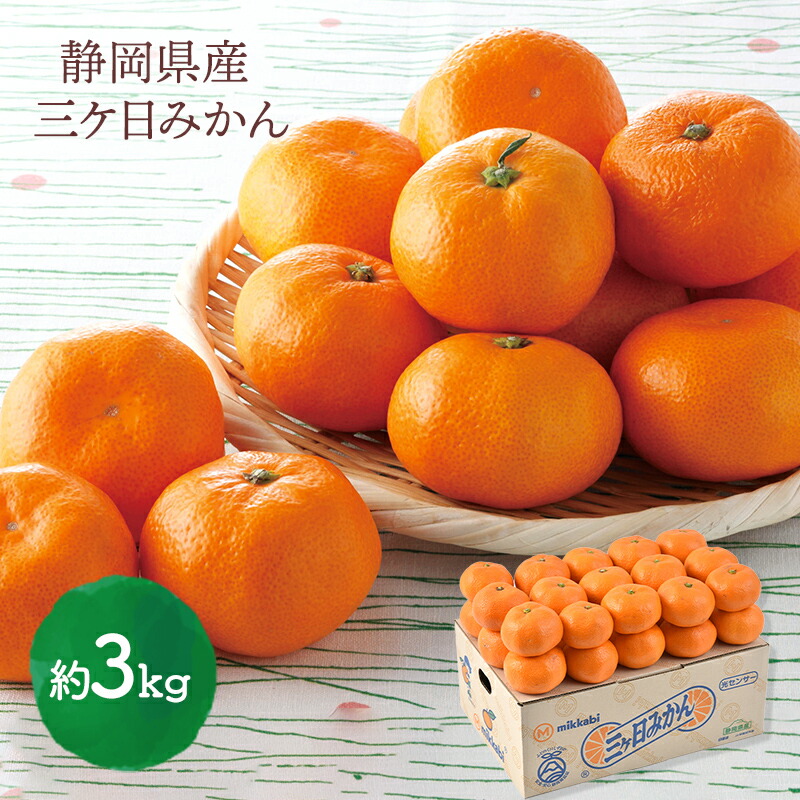 楽天市場】【2025/12/1〜12/15お届け】 超早割 お歳暮 2025 愛知