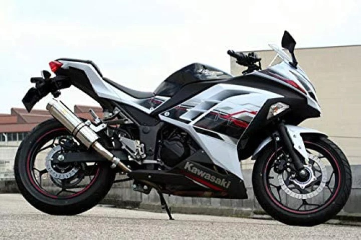 【国内メーカー Realize】 カワサキ ニンジャ 250 ( EX250L ) Realize 製 アリア スリップオン マフラー ステンレス サイレンサー スラッシュエンド Type S 2013年~2017年モデル対応 説明書付 KAWASAKI Ninja250 EX250L カスタム リアライズ 日本製 国産 Made in Japan|Nattyworks店