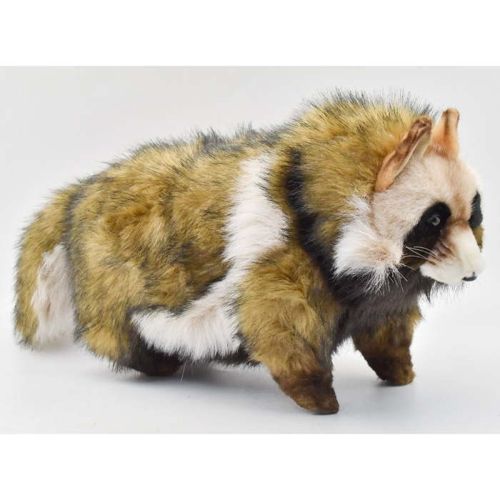 楽天市場】ケーセン ぬいぐるみ たぬき 全長50cm リアル ドイツ