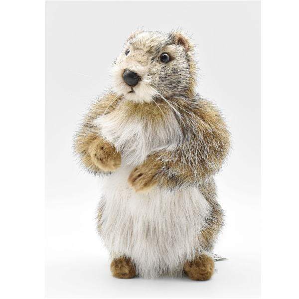 楽天市場】ケーセン ぬいぐるみ Kosen マーモット 34cm Murmeltier