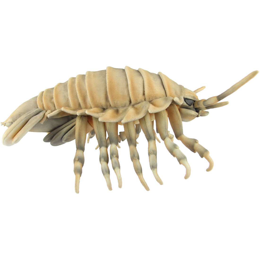 ハンサ【HANSA】リアルぬいぐるみ ダイオウグソクムシ 37 GIANT ISOPOD