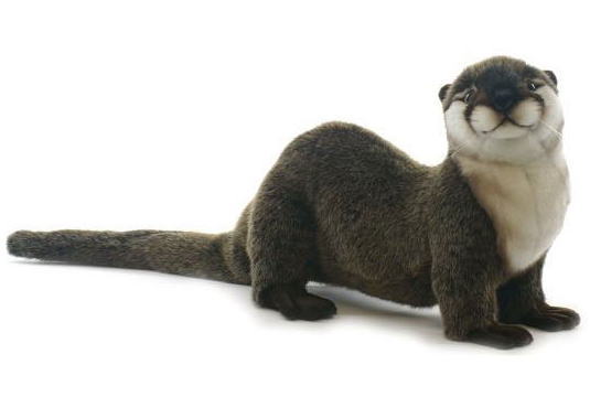 楽天市場 カワウソ 置物 ａタイプ リアルな動物のぬいぐるみ インテリア 動物 置物 オブジェ 雑貨 フィギュア アニマル モチーフ かわうそ 雑貨の森 Ki Ra Ra