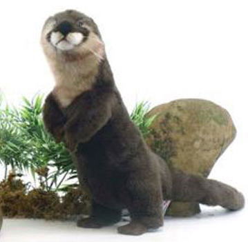 楽天市場】ハンサ【HANSA】リアルぬいぐるみ カワウソ 69cmその表情と