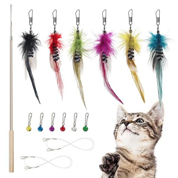 楽天市場】SONGWAY猫 おもちゃ 猫じゃらし ねこ玩具 昆虫 大飛ぶ虫昆虫