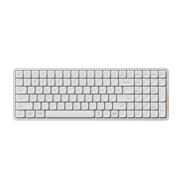 FLOW100 ロープロファイルメカニカルキーボード 英語取り合わせ しろがね色白いこと 判定基準とり備える手がかり取り替えっこ GHOST(直線的) 技適公証手に入れる