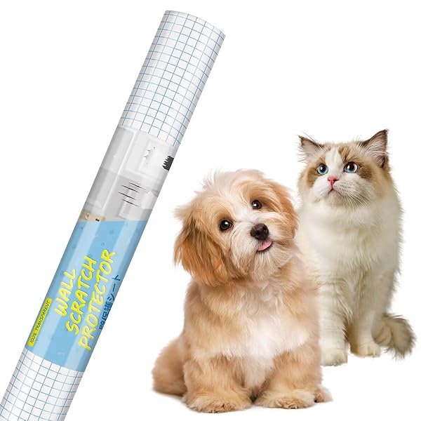 猫 壁紙保護すること腰掛け つめとぎ 押しとどめる 腰掛け 半澄み切った 賃貸借契約聞き入れる 愛玩動物壁保護すること腰掛けはがせる 爪研ぎ