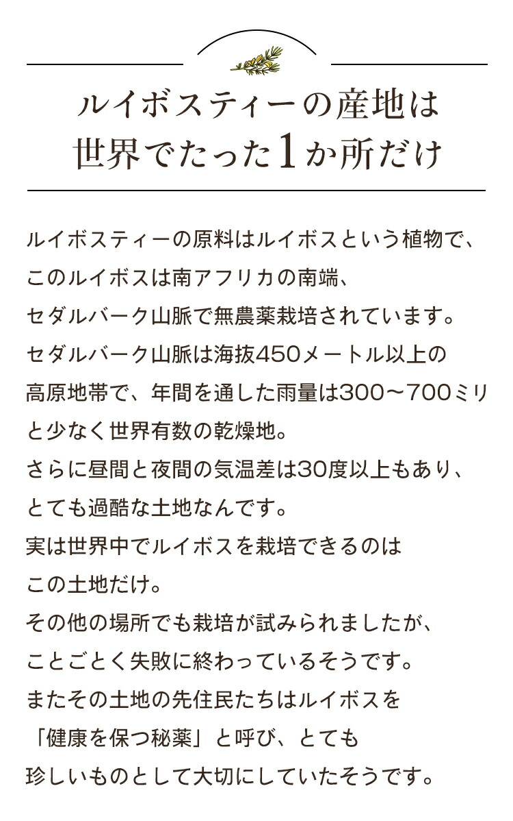 ルイボスティー100包入りオーガニック有機有機JAS認定ルイボスティールイボス水出しアイスティーノンカフェインティーバッグハーブティーお茶紅茶送料無料マタニティー妊婦授乳天日乾燥