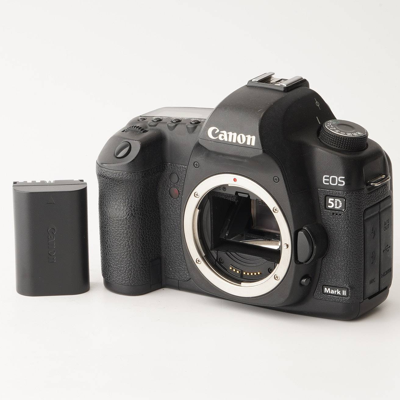 キヤノン Canon EOS 5D Mark II 上半身 デジタル一眼一眼レフ