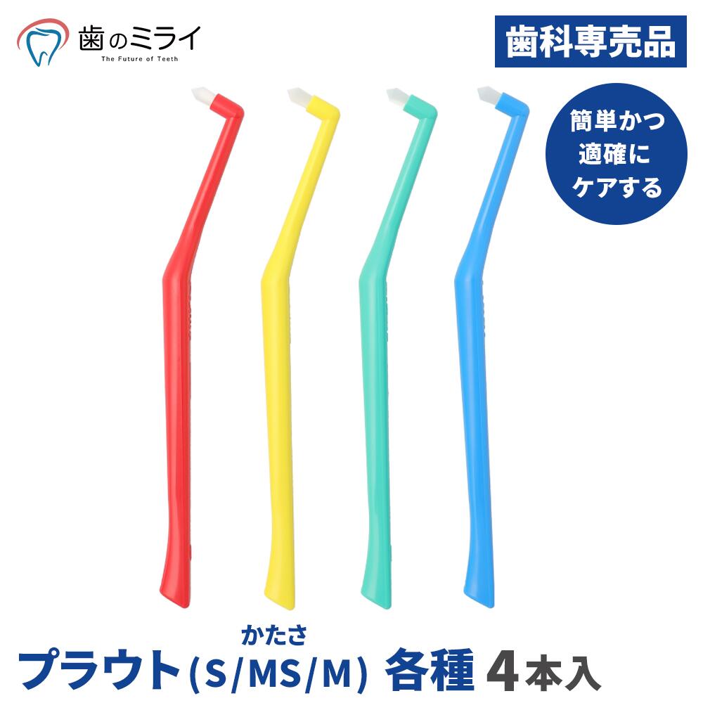 楽天市場】【楽天最安値挑戦中】【送料無料】歯科用フッ素配合