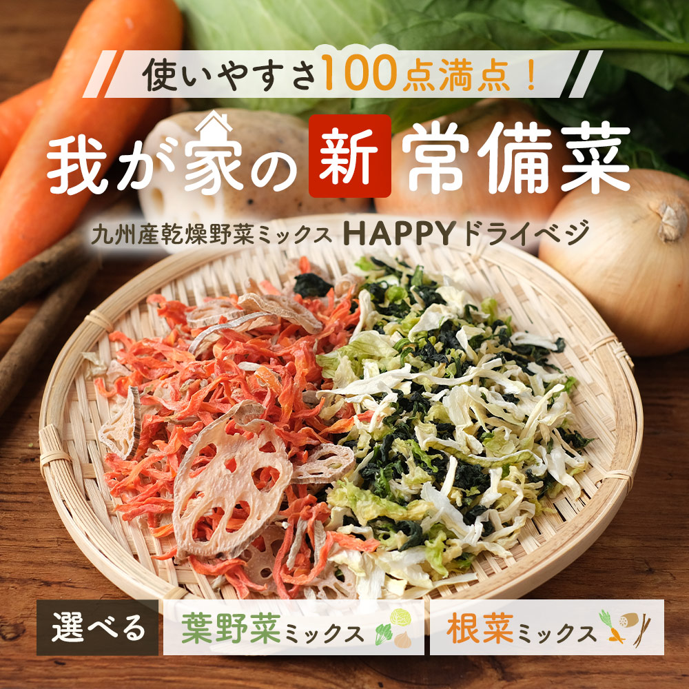 ポイント5倍 乾燥野菜 栄養 国産 残留農薬検査済み 九州産 ほうれん草 乾燥野菜ミックス 葉野菜 キャベツ 葉野菜100g 簡単 根菜1g 根菜