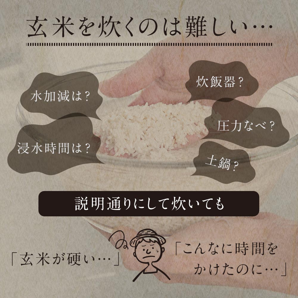 発酵発芽玄米(160g×5食パック)パックご飯玄米発芽玄米黒米赤米緑米乳酸菌あきたこまちブレンド米美容健康アントシアニンポリフェノールタンニンクロロフィル古代米国産便利レンジカフェ飯レトルト有機JASGABA送料無料4510TSG